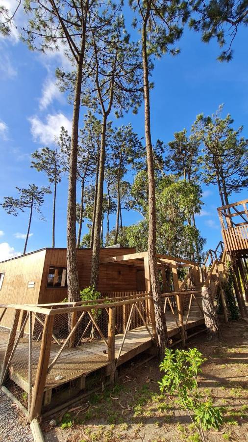 Bukubaki Eco Surf Station touristique