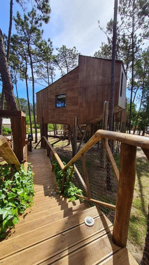 Station touristique Bukubaki Eco Surf Ferrel (Leiria)
