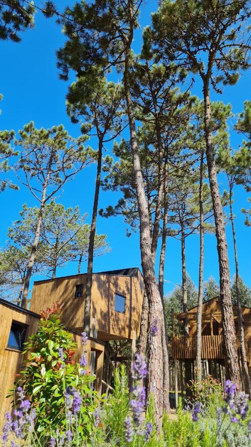Station touristique Bukubaki Eco Surf Ferrel (Leiria)